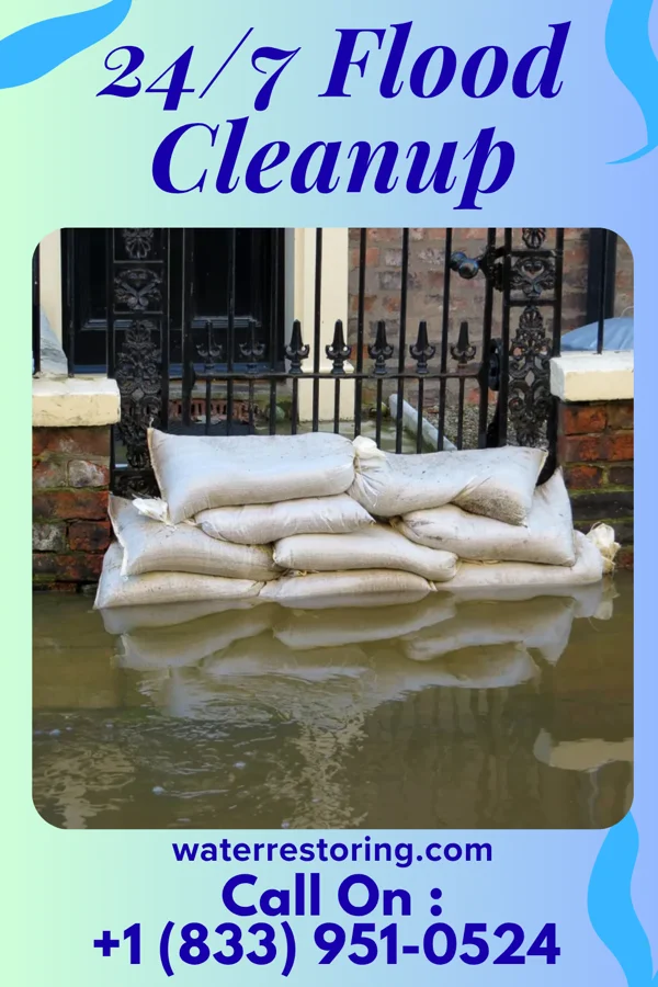 24/7 Flood Cleanup in Evergreen, MO