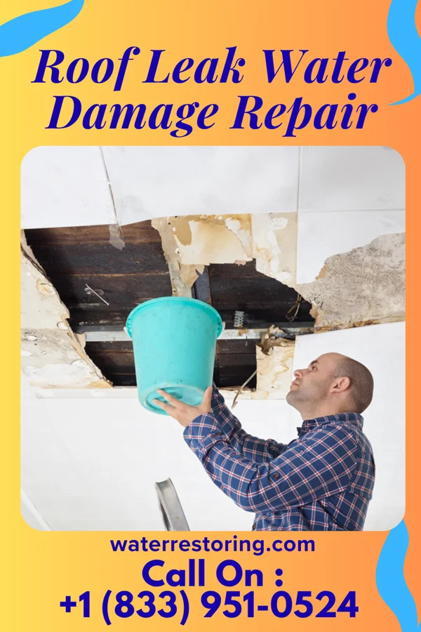 Roof Leak Water Damage Repair in Evergreen, MO